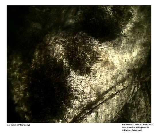 GEIST_RIVERINE_PRESS040050