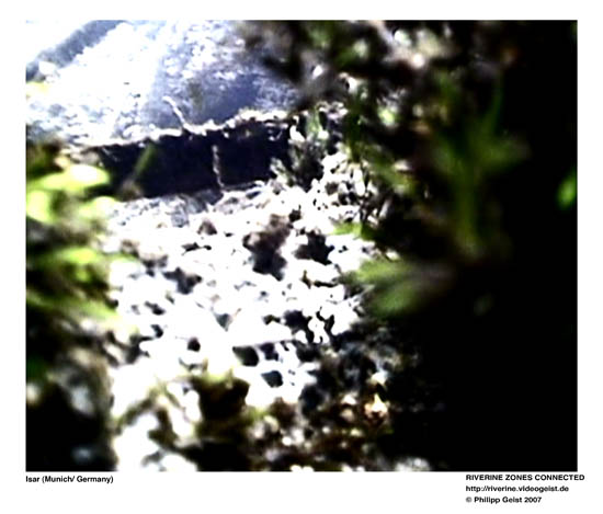 GEIST_RIVERINE_PRESS050061