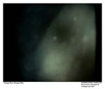 GEIST_RIVERINE_PRESS010013