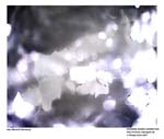 GEIST_RIVERINE_PRESS020031