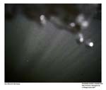 GEIST_RIVERINE_PRESS030033