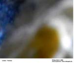 GEIST_RIVERINE_PRESS070072