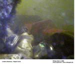 GEIST_RIVERINE_PRESS070078