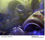 GEIST_RIVERINE_PRESS070079