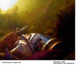 GEIST_RIVERINE_PRESS070080
