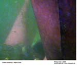 GEIST_RIVERINE_PRESS080082